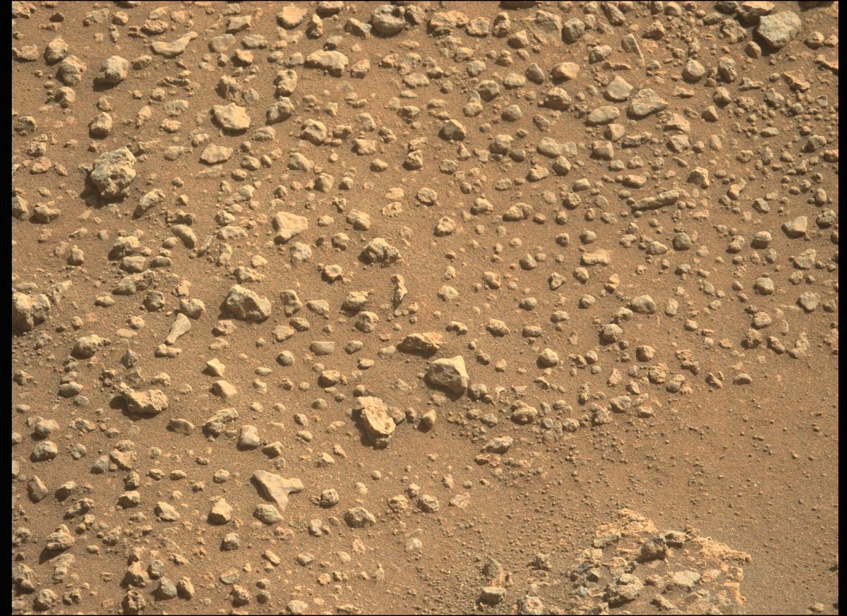 This image was taken by MCZ_LEFT onboard NASA's Mars rover Perseverance on Sol 125