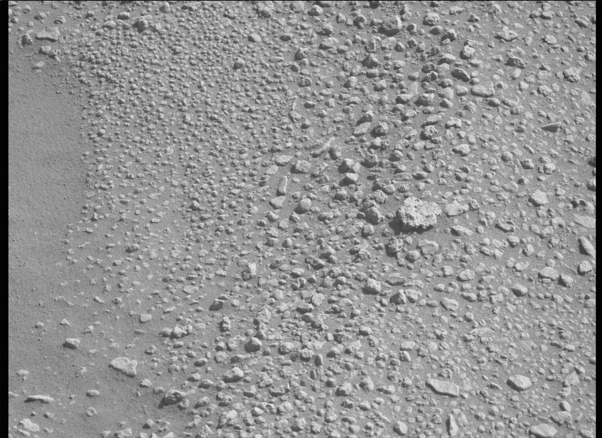 This image was taken by MCZ_LEFT onboard NASA's Mars rover Perseverance on Sol 125