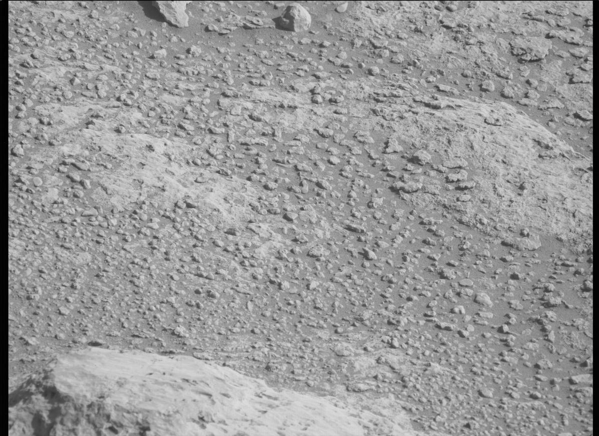 This image was taken by MCZ_LEFT onboard NASA's Mars rover Perseverance on Sol 125