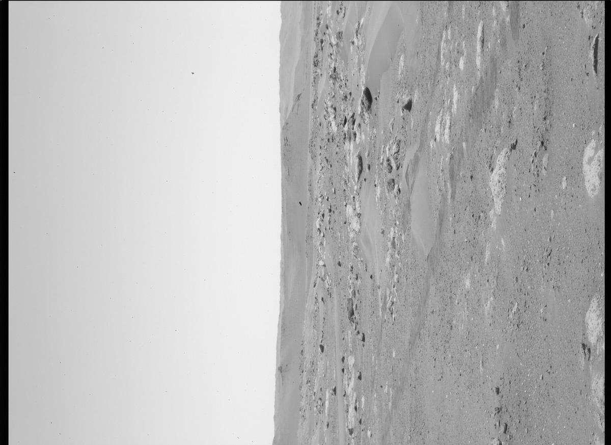 This image was taken by SHERLOC_WATSON onboard NASA's Mars rover Perseverance on Sol 130