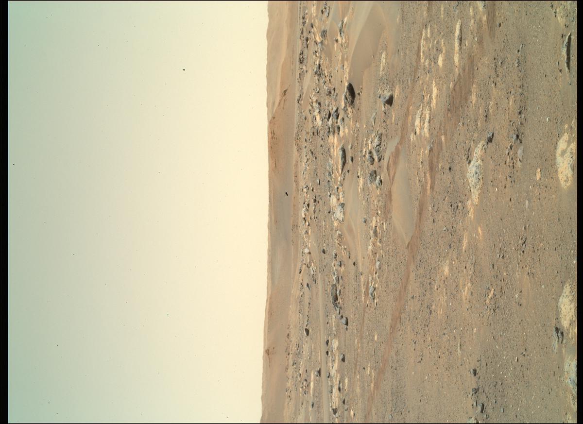 This image was taken by SHERLOC_WATSON onboard NASA's Mars rover Perseverance on Sol 130