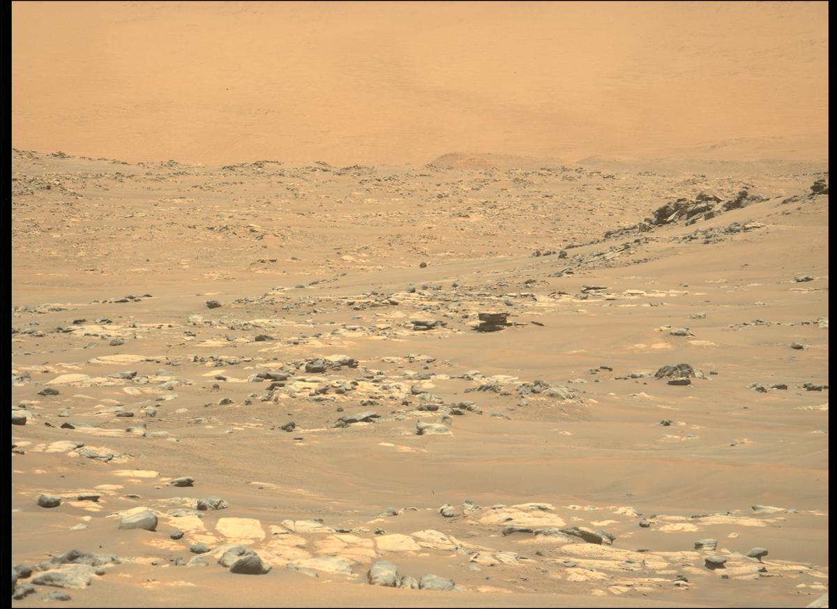 This image was taken by MCZ_LEFT onboard NASA's Mars rover Perseverance on Sol 130