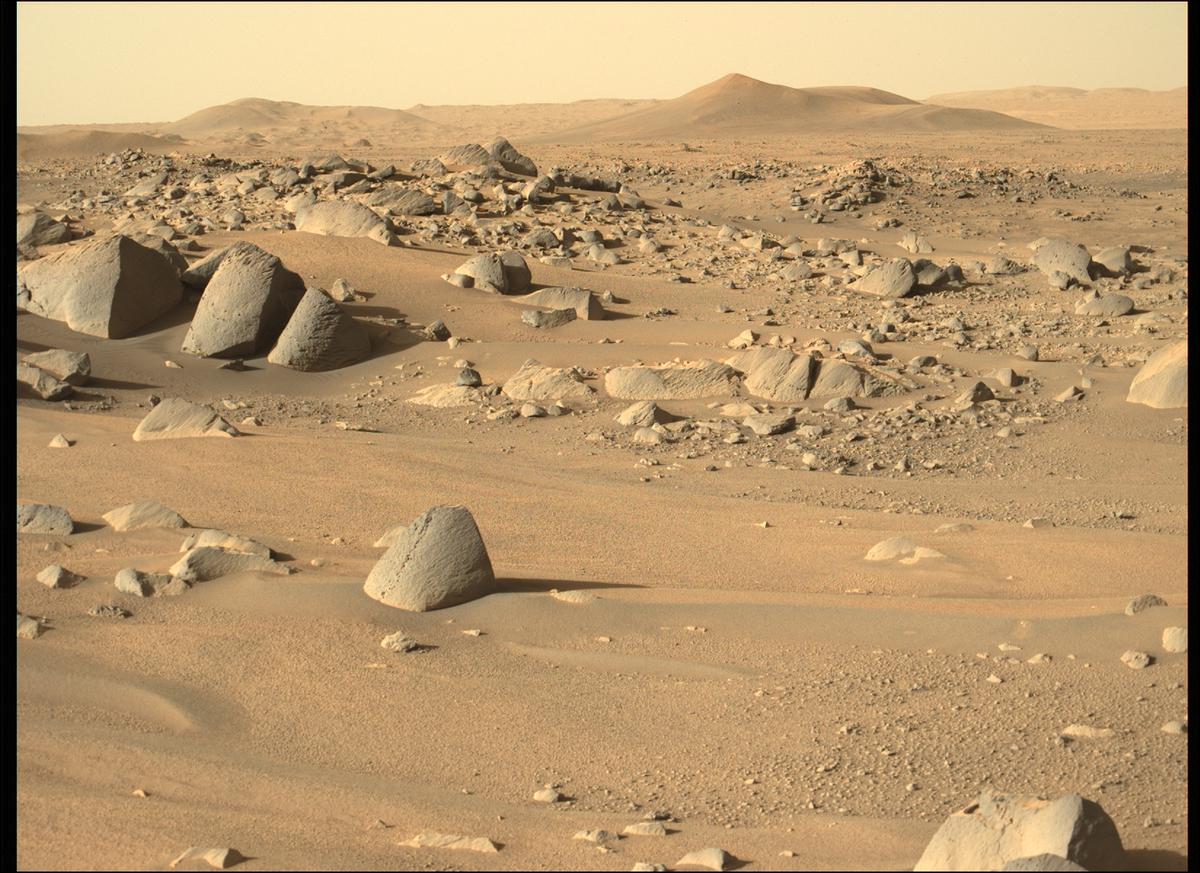 This image was taken by MCZ_LEFT onboard NASA's Mars rover Perseverance on Sol 134