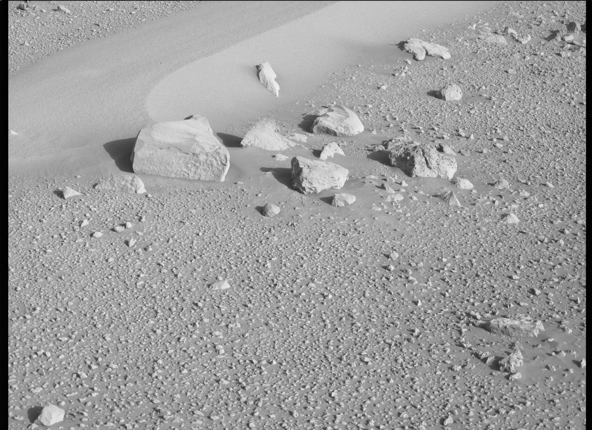This image was taken by MCZ_LEFT onboard NASA's Mars rover Perseverance on Sol 134