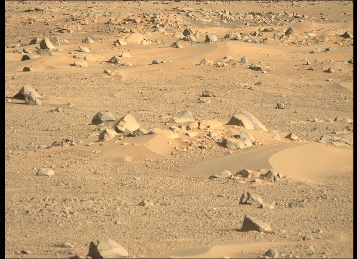 This image was taken by MCZ_LEFT onboard NASA's Mars rover Perseverance on Sol 134