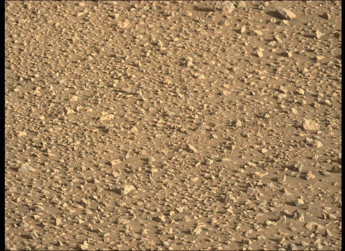 This image was taken by MCZ_LEFT onboard NASA's Mars rover Perseverance on Sol 134