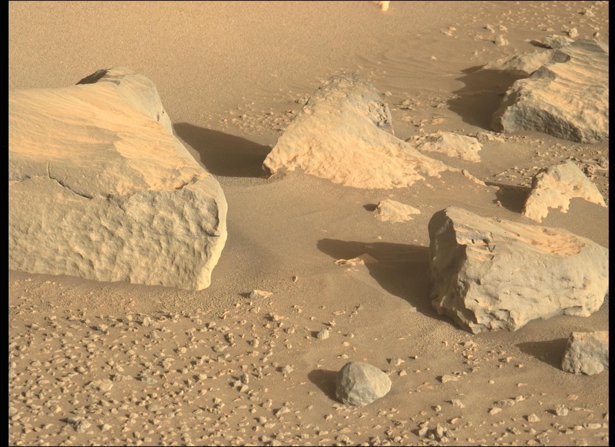 This image was taken by MCZ_LEFT onboard NASA's Mars rover Perseverance on Sol 134