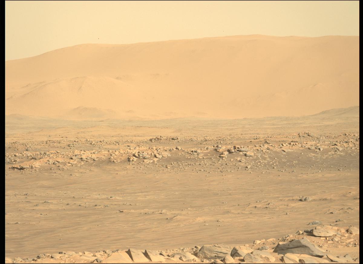 This image was taken by MCZ_LEFT onboard NASA's Mars rover Perseverance on Sol 134