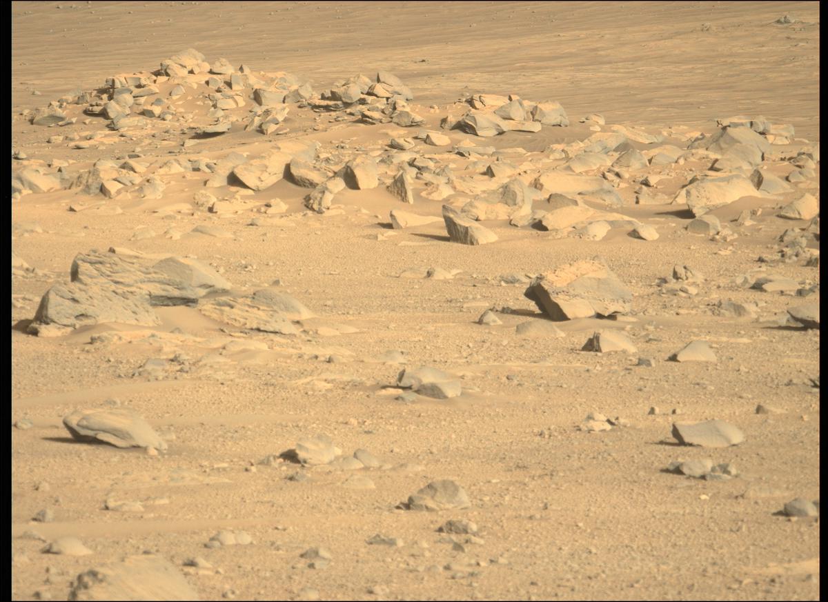 This image was taken by MCZ_LEFT onboard NASA's Mars rover Perseverance on Sol 134