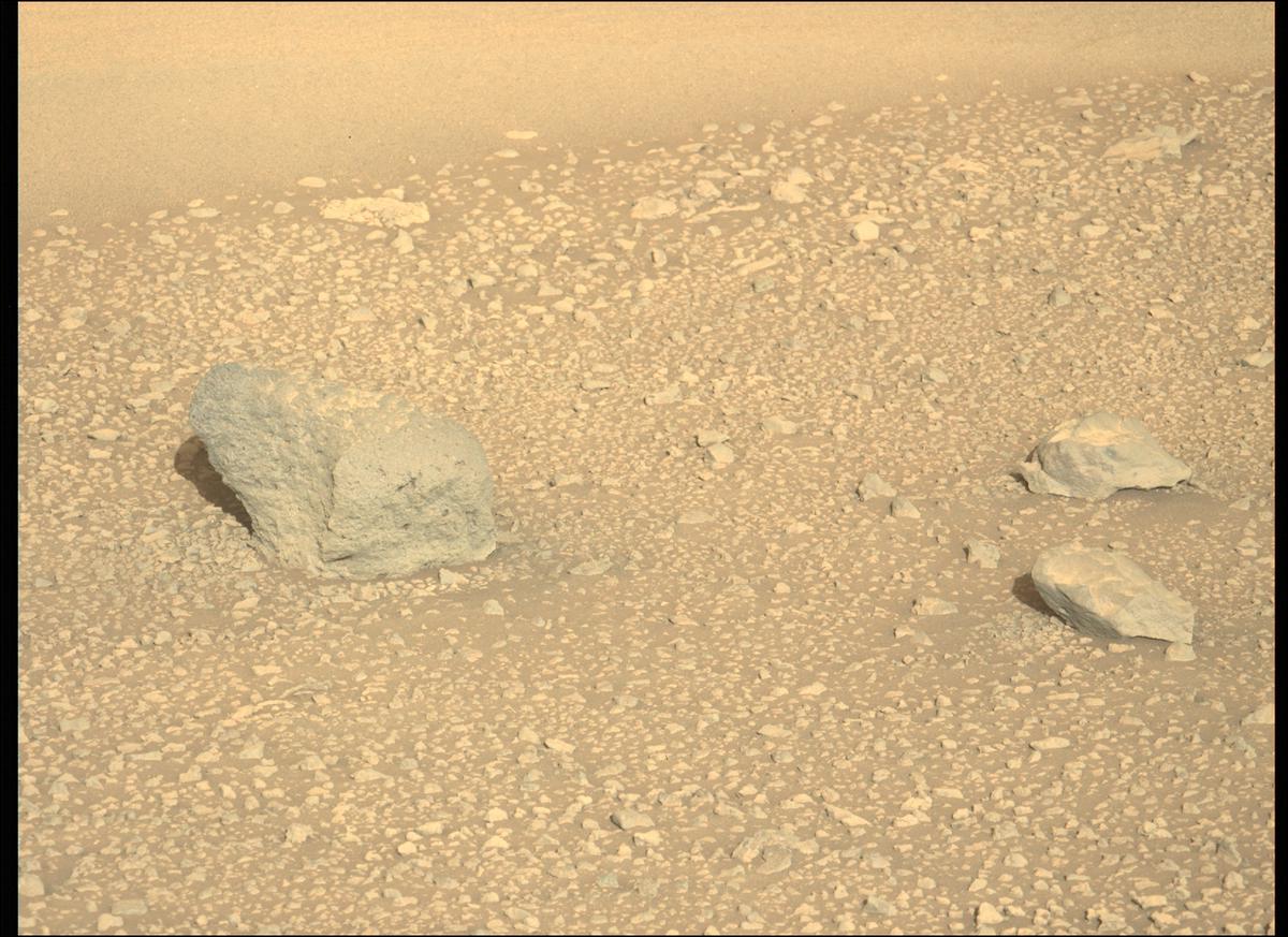 This image was taken by MCZ_LEFT onboard NASA's Mars rover Perseverance on Sol 134