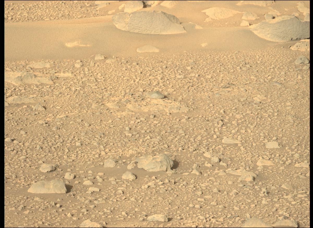 This image was taken by MCZ_LEFT onboard NASA's Mars rover Perseverance on Sol 134