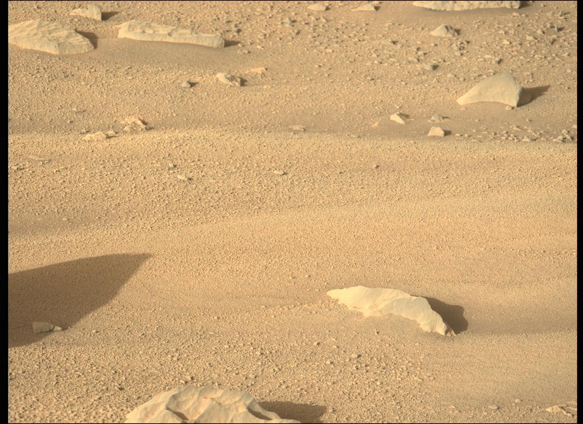 This image was taken by MCZ_LEFT onboard NASA's Mars rover Perseverance on Sol 134