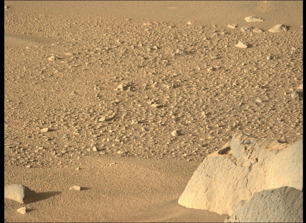 This image was taken by MCZ_LEFT onboard NASA's Mars rover Perseverance on Sol 134