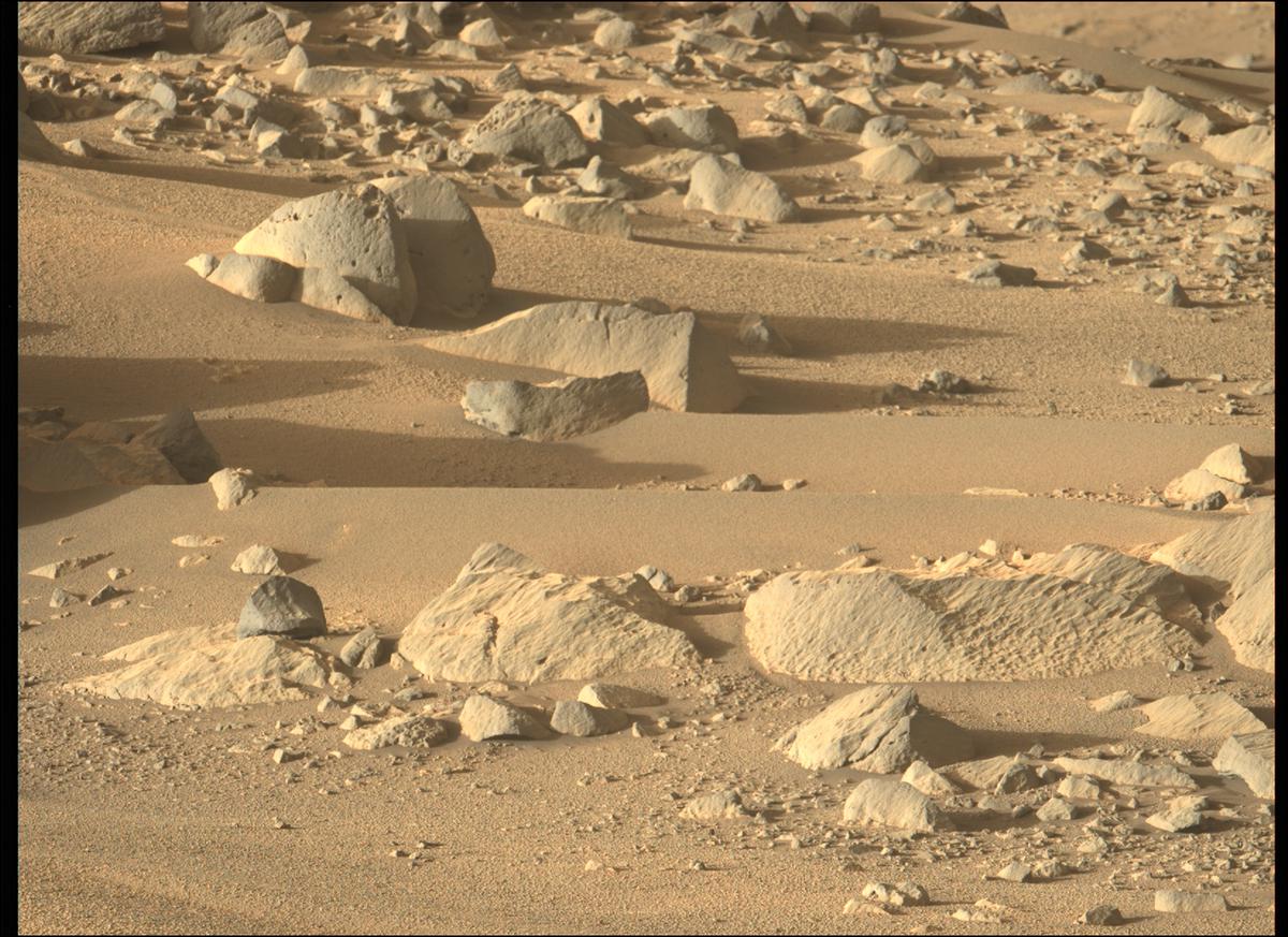 This image was taken by MCZ_LEFT onboard NASA's Mars rover Perseverance on Sol 134