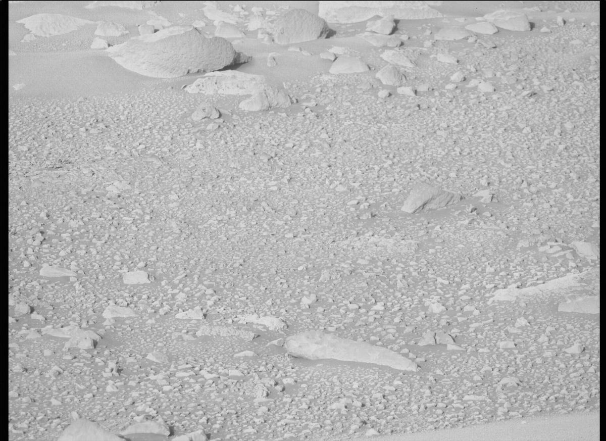 This image was taken by MCZ_RIGHT onboard NASA's Mars rover Perseverance on Sol 134