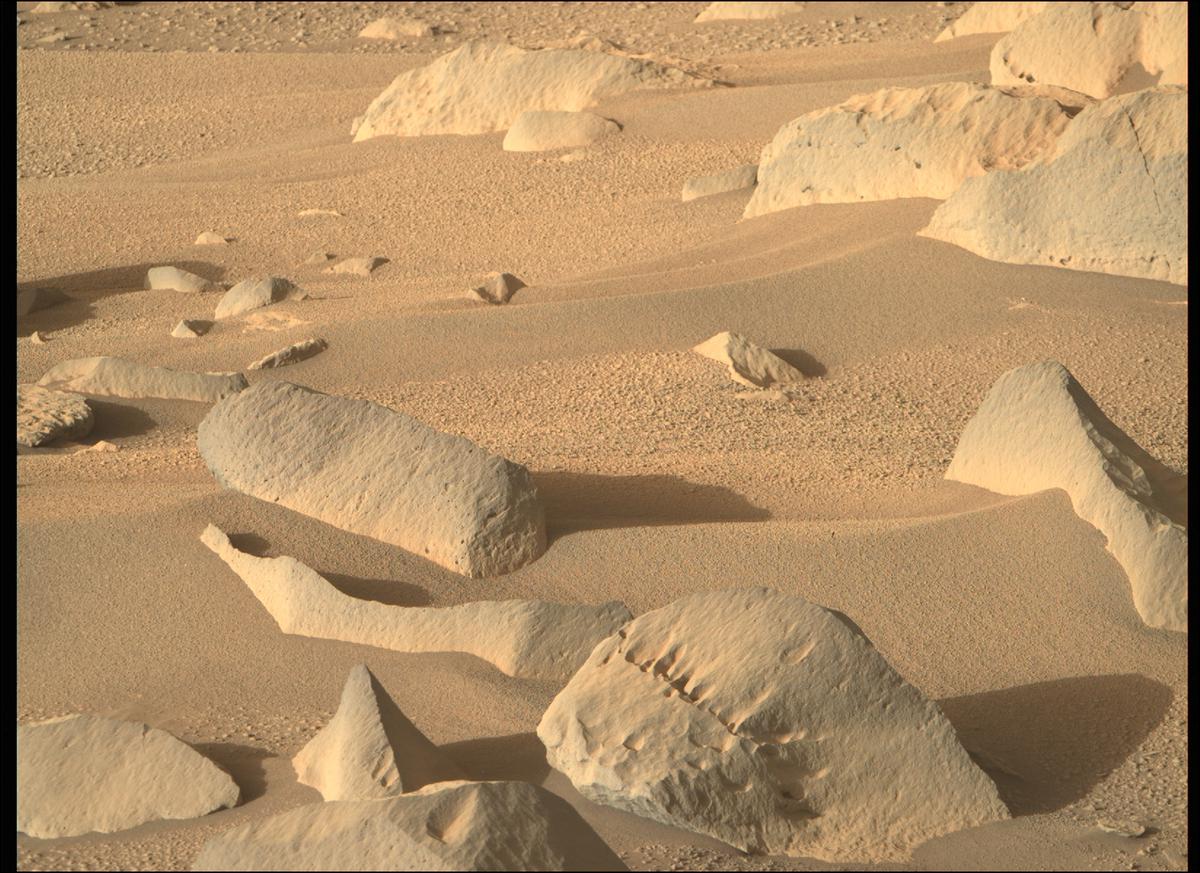 This image was taken by MCZ_RIGHT onboard NASA's Mars rover Perseverance on Sol 134