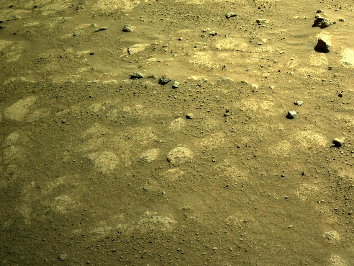 This image was taken by NAVCAM_LEFT onboard NASA's Mars rover Perseverance on Sol 135