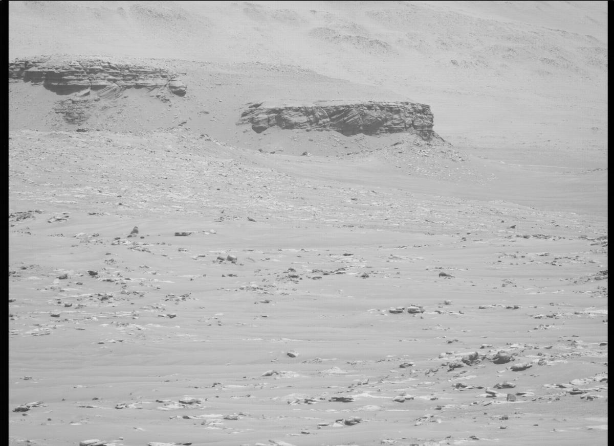 This image was taken by MCZ_LEFT onboard NASA's Mars rover Perseverance on Sol 135