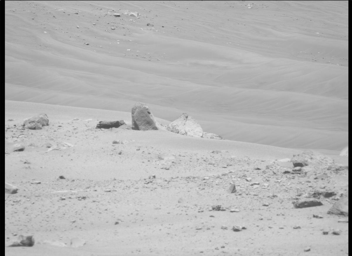 This image was taken by MCZ_LEFT onboard NASA's Mars rover Perseverance on Sol 135