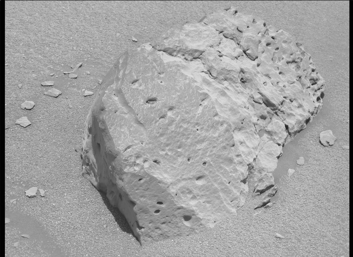 This image was taken by MCZ_LEFT onboard NASA's Mars rover Perseverance on Sol 135