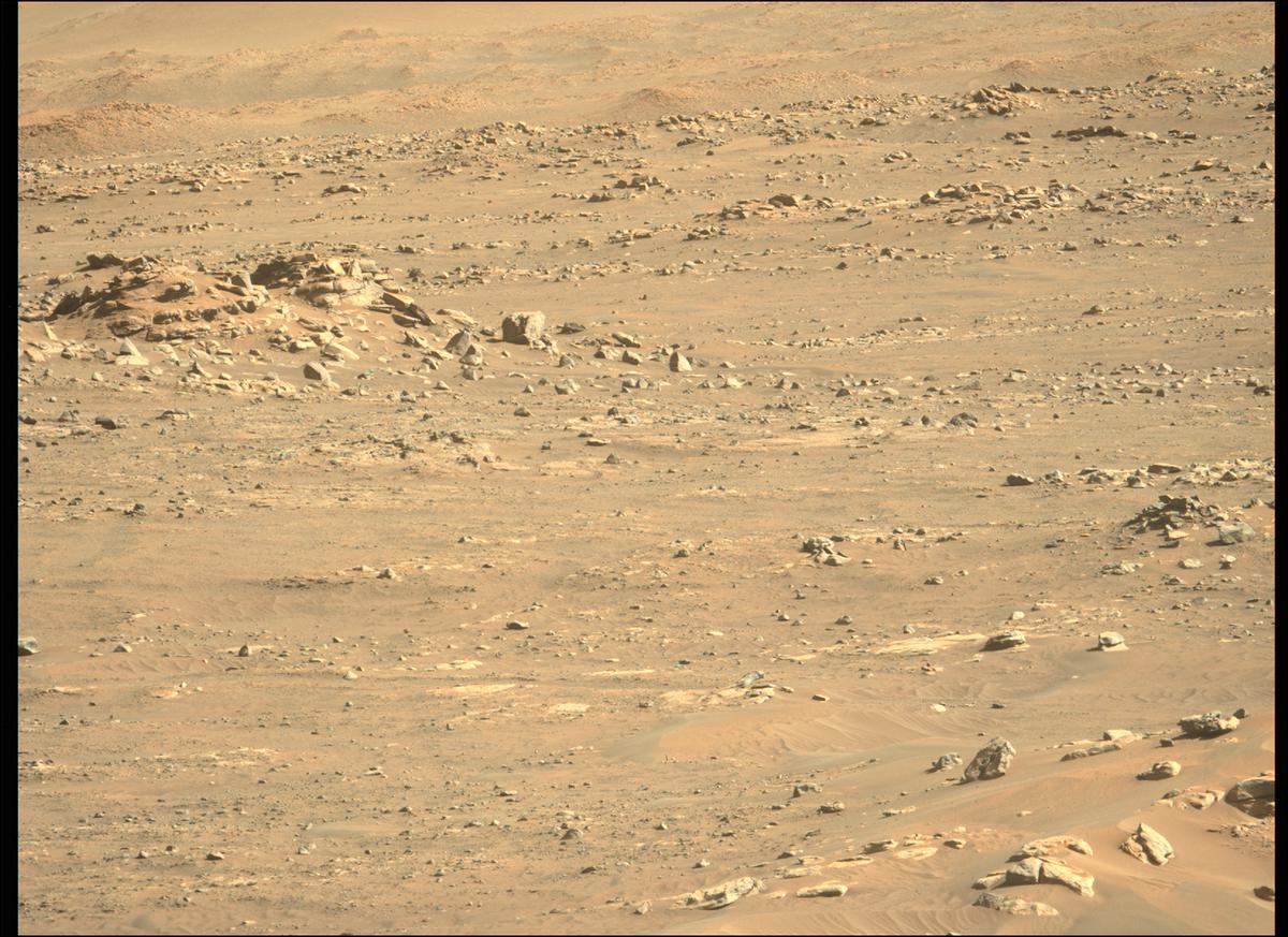 This image was taken by MCZ_LEFT onboard NASA's Mars rover Perseverance on Sol 135
