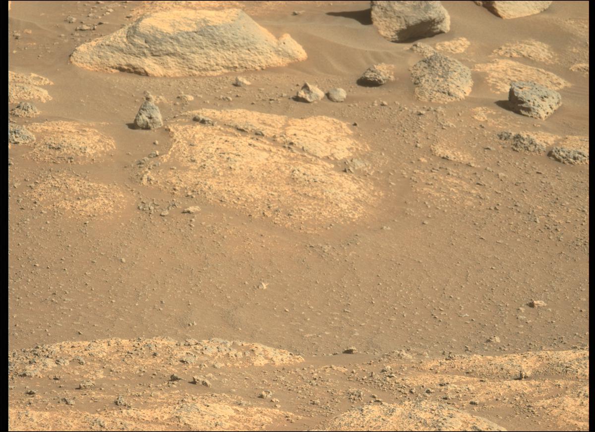 This image was taken by MCZ_LEFT onboard NASA's Mars rover Perseverance on Sol 135
