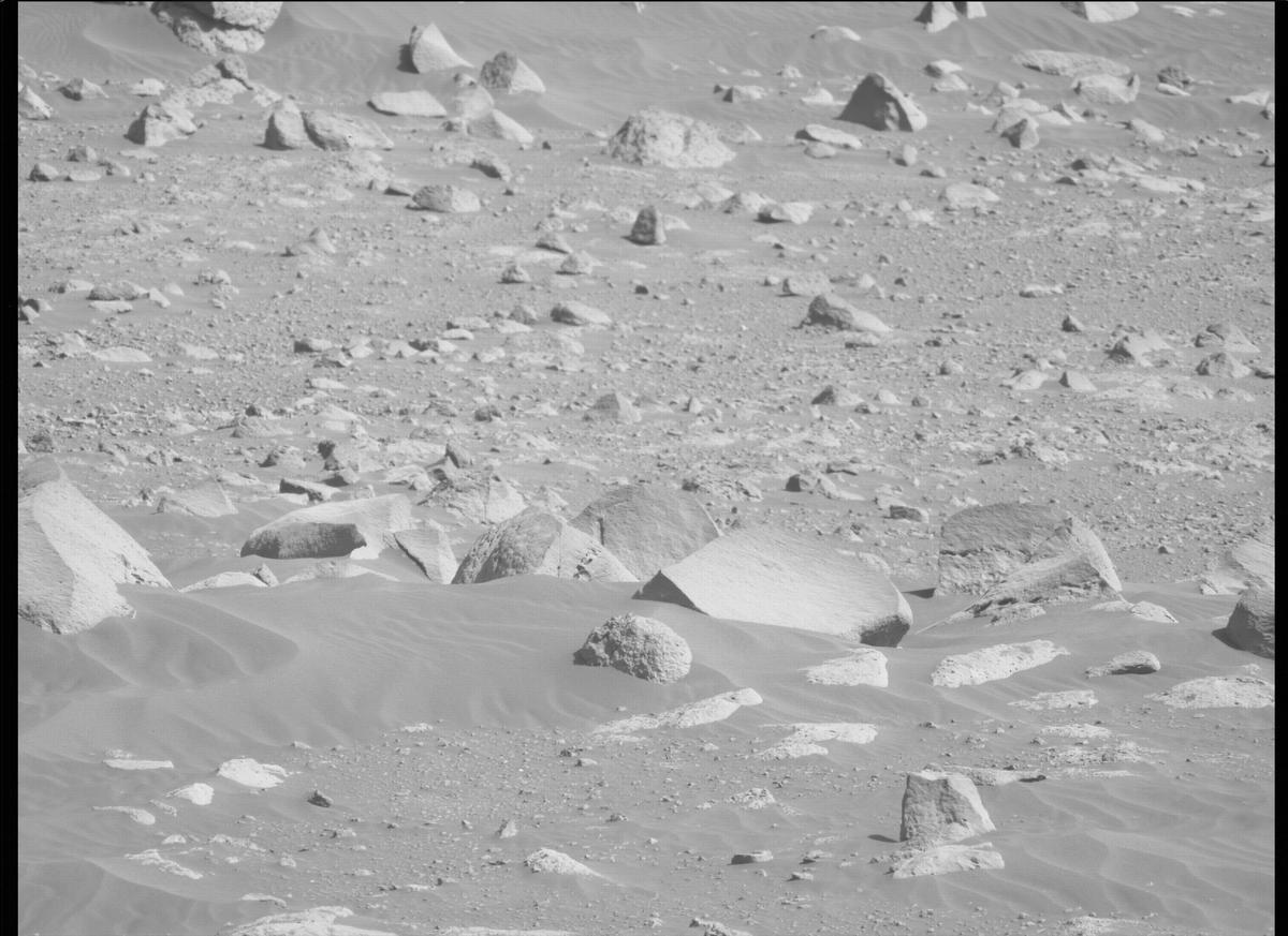 This image was taken by MCZ_LEFT onboard NASA's Mars rover Perseverance on Sol 135