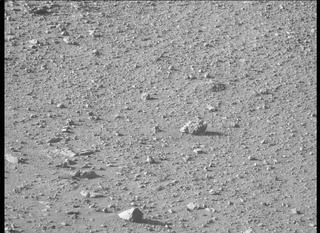 View image taken on Mars, Mars Perseverance Sol 135: Left Mastcam-Z Camera