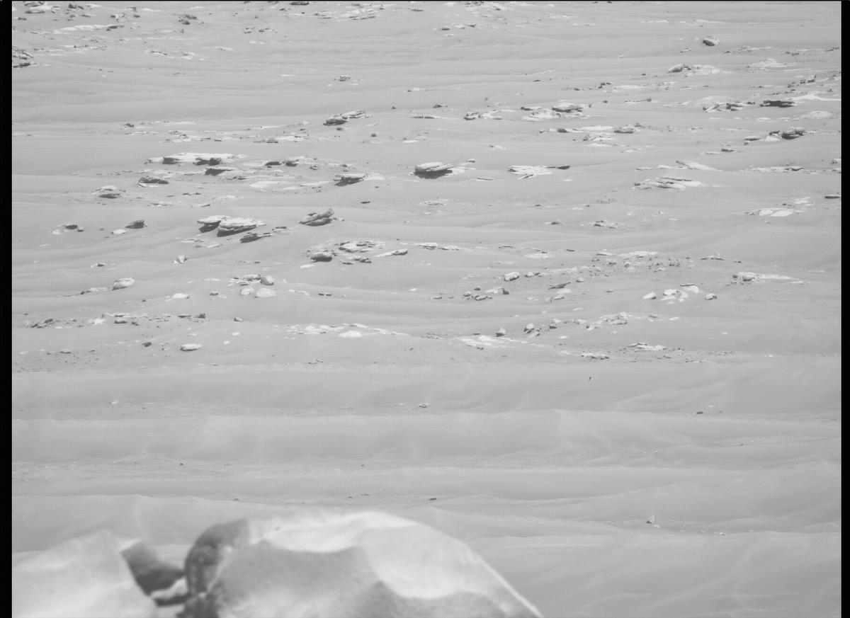 This image was taken by MCZ_RIGHT onboard NASA's Mars rover Perseverance on Sol 135