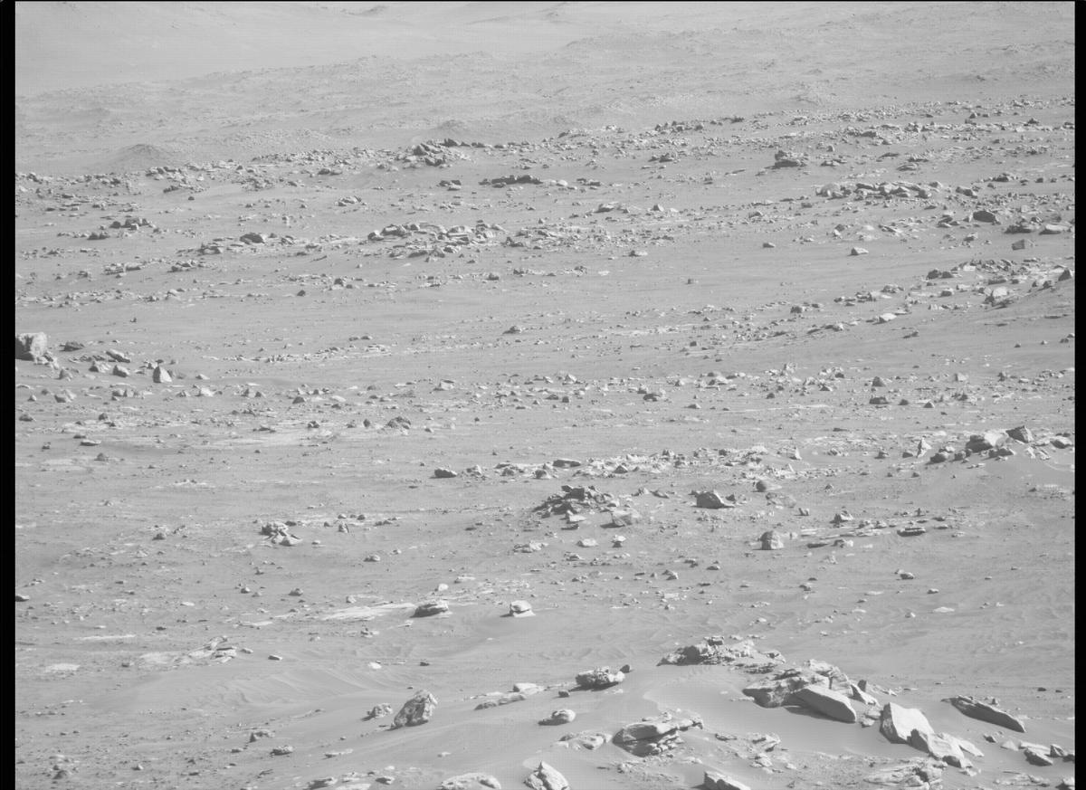 This image was taken by MCZ_RIGHT onboard NASA's Mars rover Perseverance on Sol 135