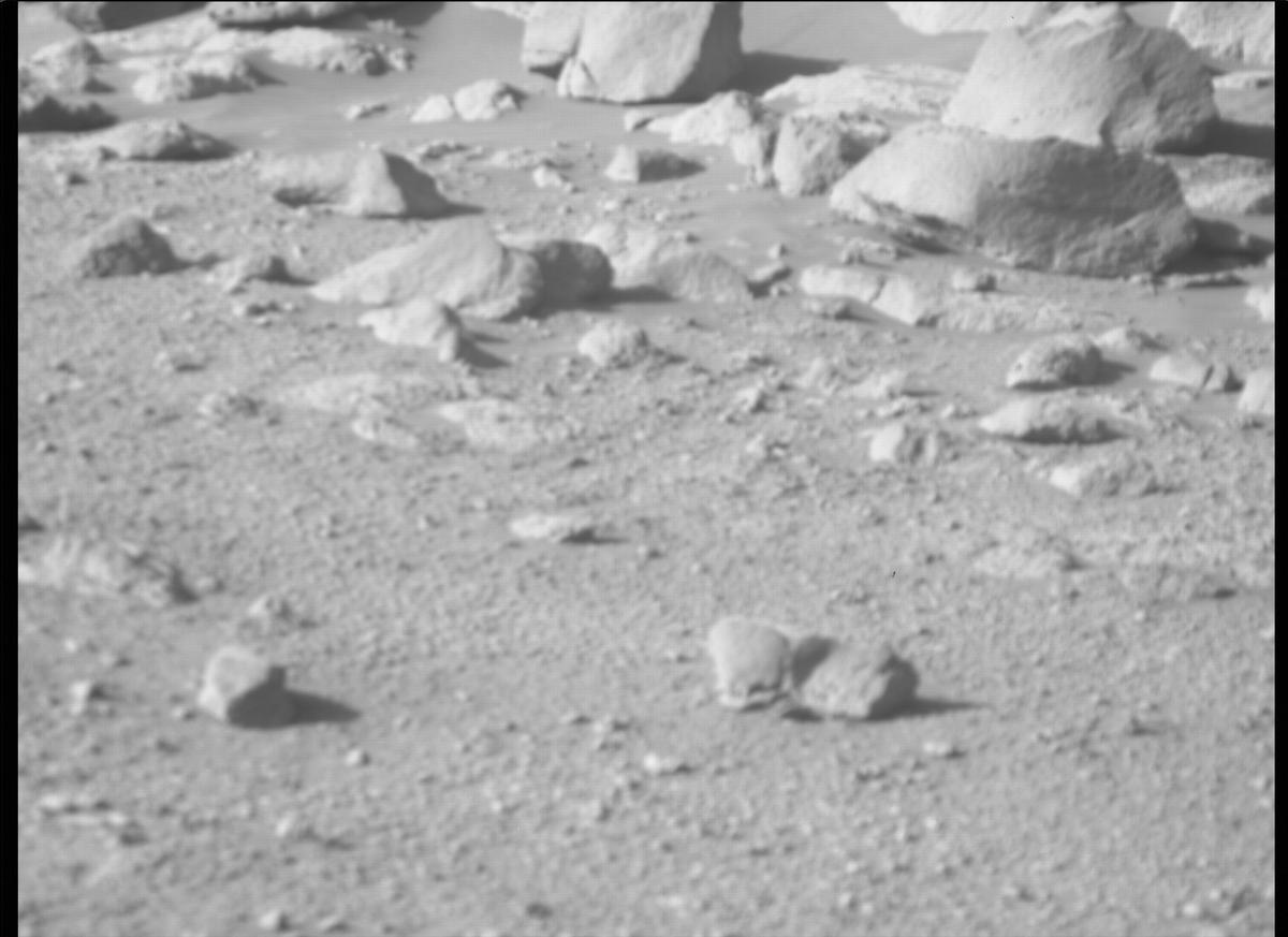 This image was taken by MCZ_RIGHT onboard NASA's Mars rover Perseverance on Sol 135