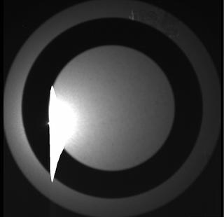 View image taken on Mars, Mars Perseverance Sol 136: SkyCam Camera 