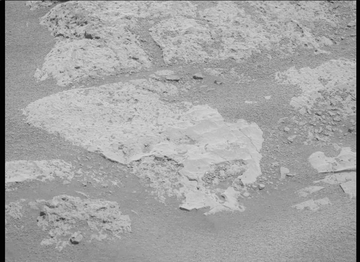 This image was taken by MCZ_LEFT onboard NASA's Mars rover Perseverance on Sol 136