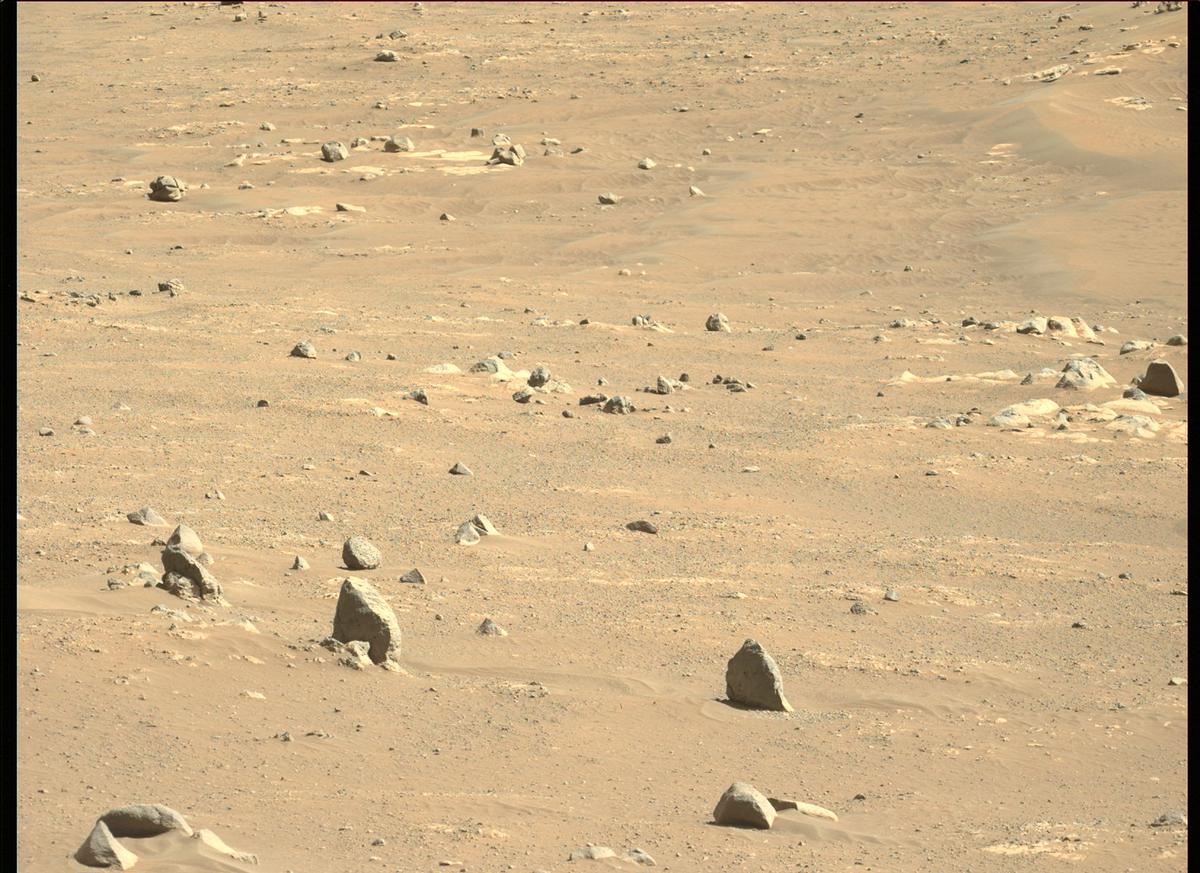 This image was taken by MCZ_LEFT onboard NASA's Mars rover Perseverance on Sol 136