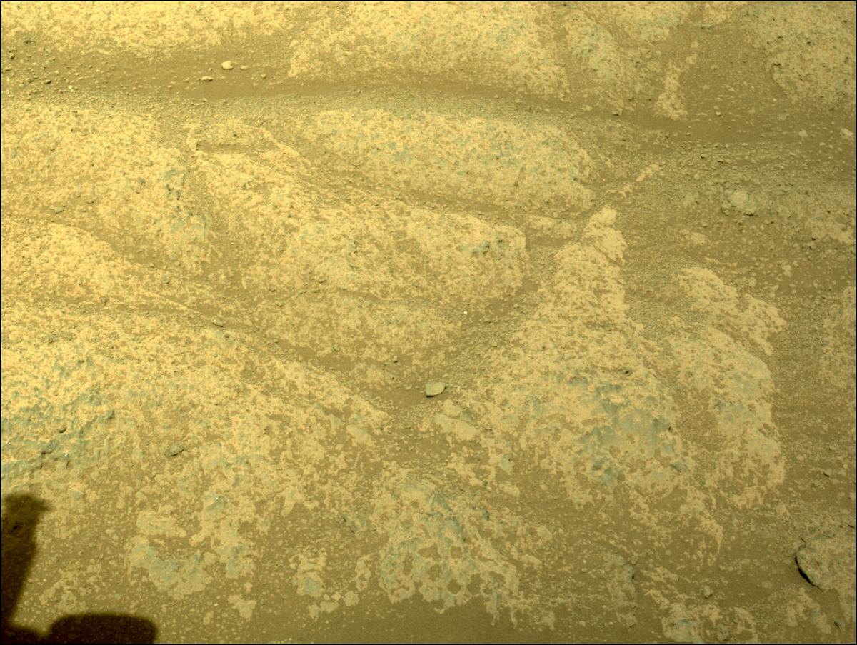 This image was taken by FRONT_HAZCAM_LEFT_A onboard NASA's Mars rover Perseverance on Sol 137