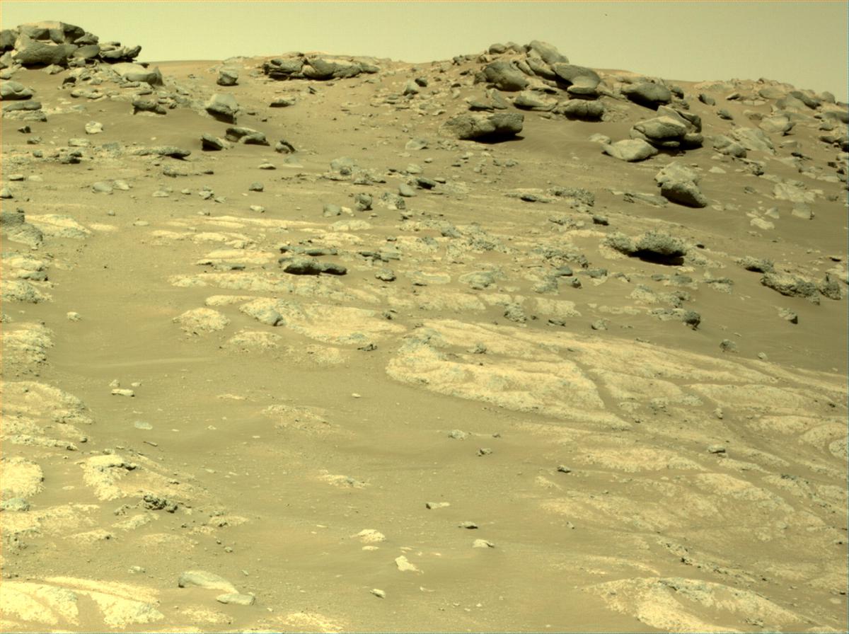 This image was taken by NAVCAM_LEFT onboard NASA's Mars rover Perseverance on Sol 137