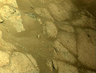 View image taken on Mars, Mars Perseverance Sol 137: Left Navigation Camera (Navcam)