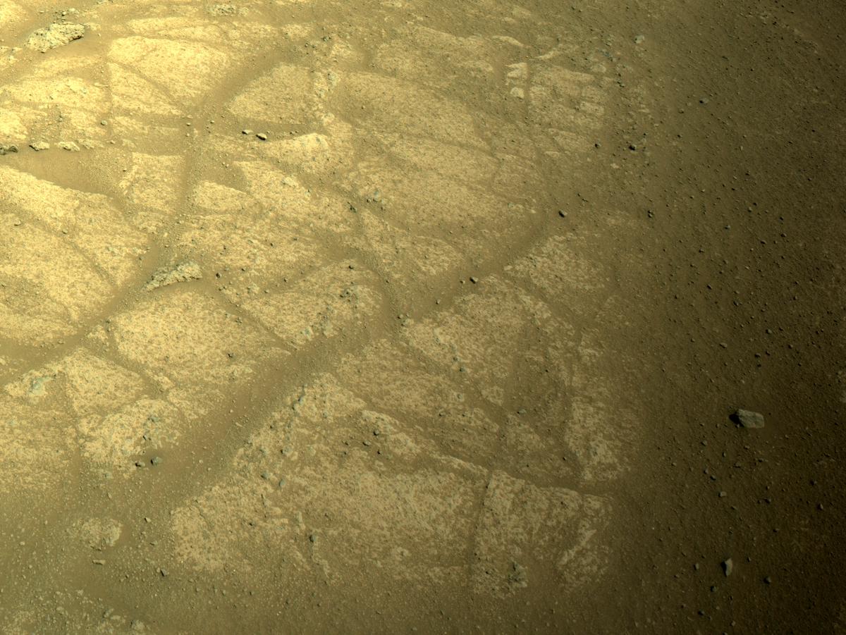 This image was taken by NAVCAM_RIGHT onboard NASA's Mars rover Perseverance on Sol 137