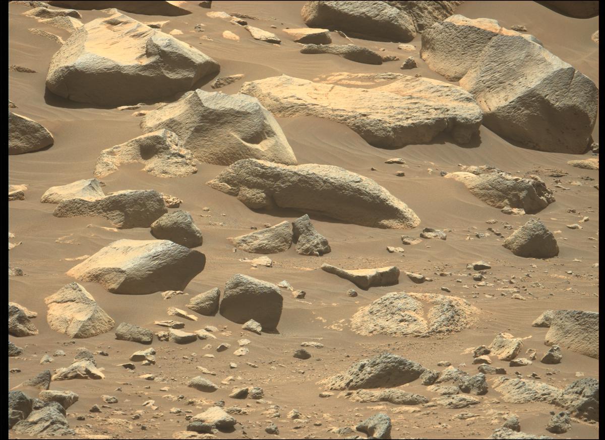 This image was taken by MCZ_LEFT onboard NASA's Mars rover Perseverance on Sol 137