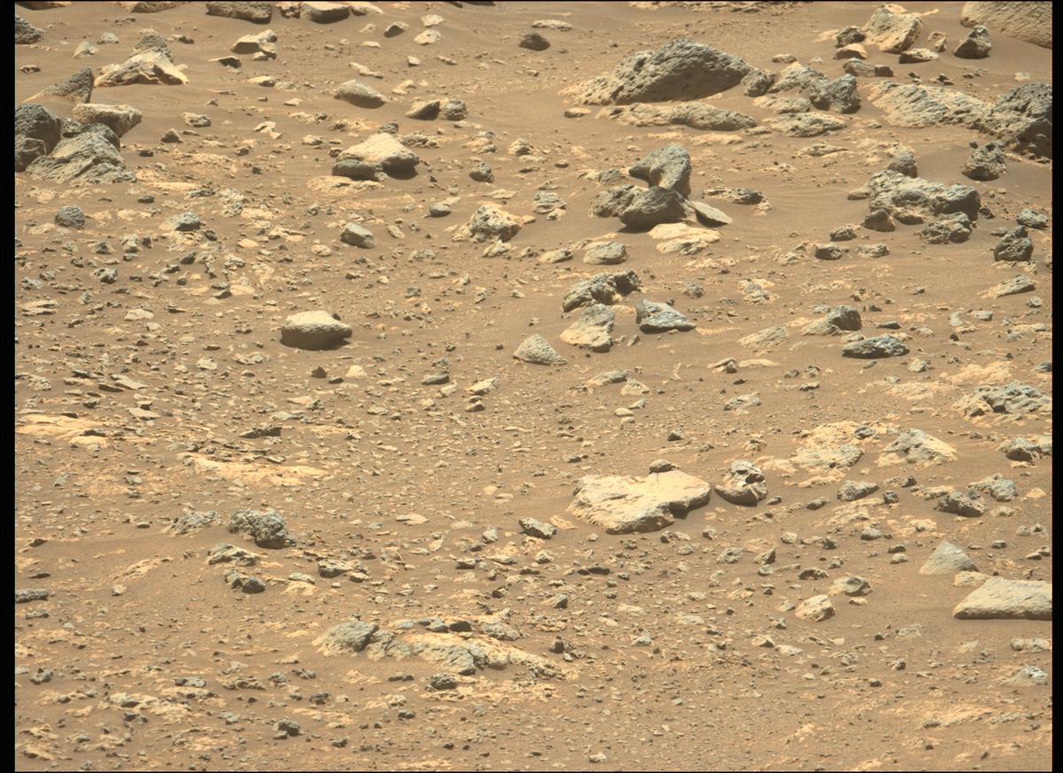 This image was taken by MCZ_LEFT onboard NASA's Mars rover Perseverance on Sol 137