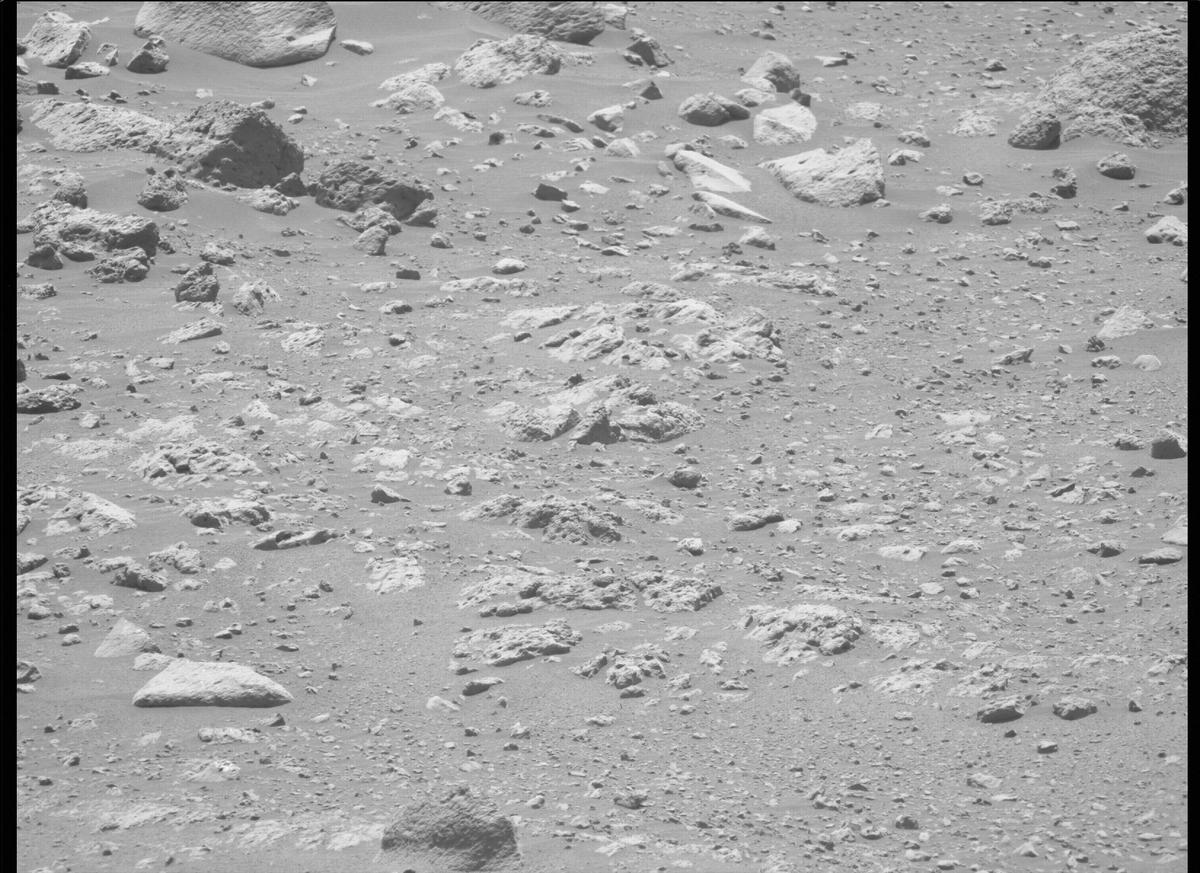 This image was taken by MCZ_LEFT onboard NASA's Mars rover Perseverance on Sol 137