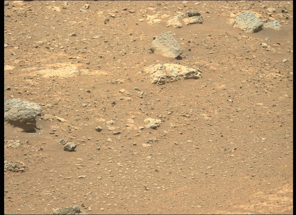 This image was taken by MCZ_LEFT onboard NASA's Mars rover Perseverance on Sol 137