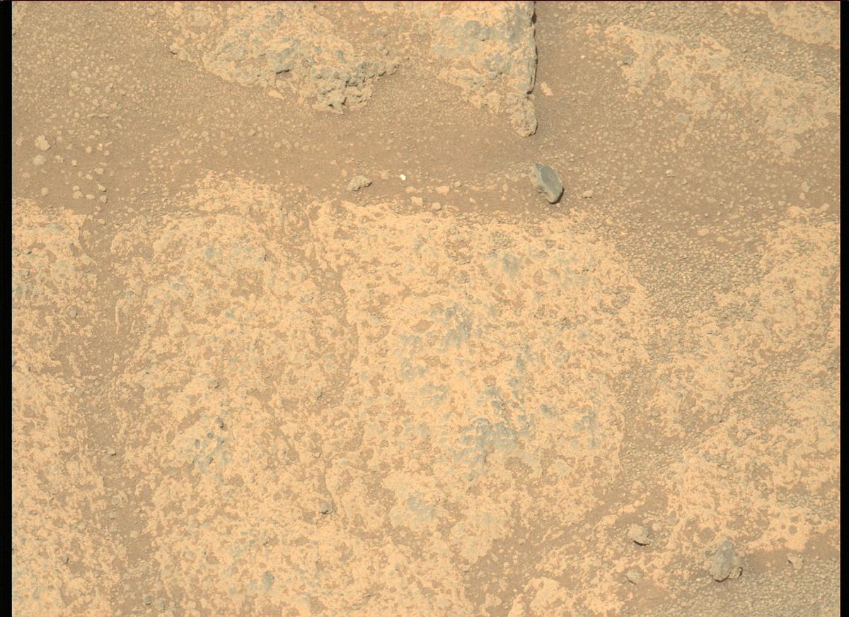 This image was taken by MCZ_LEFT onboard NASA's Mars rover Perseverance on Sol 137