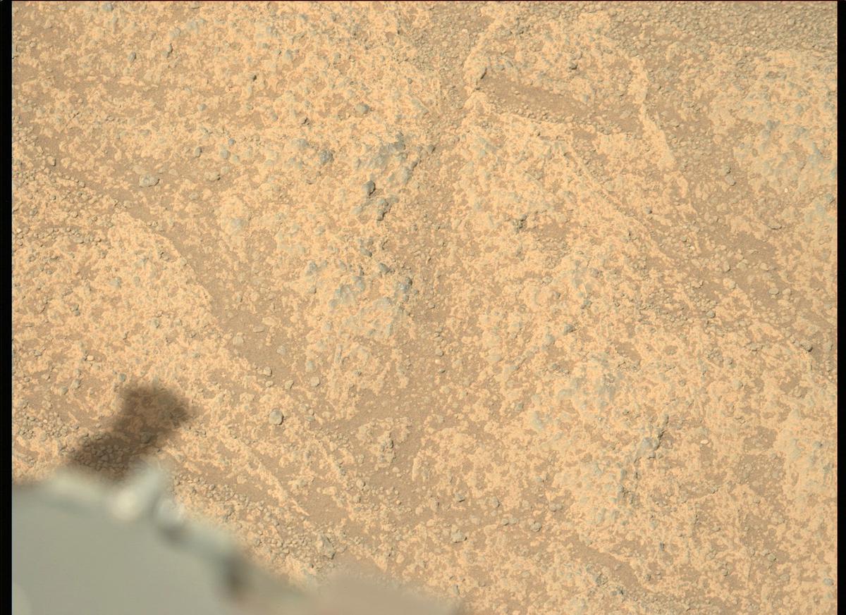 This image was taken by MCZ_LEFT onboard NASA's Mars rover Perseverance on Sol 137