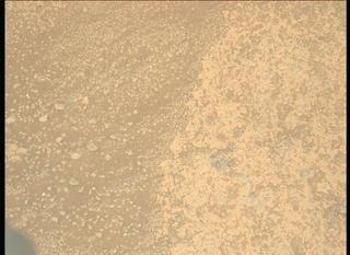 View image taken on Mars, Mars Perseverance Sol 137: Left Mastcam-Z Camera
