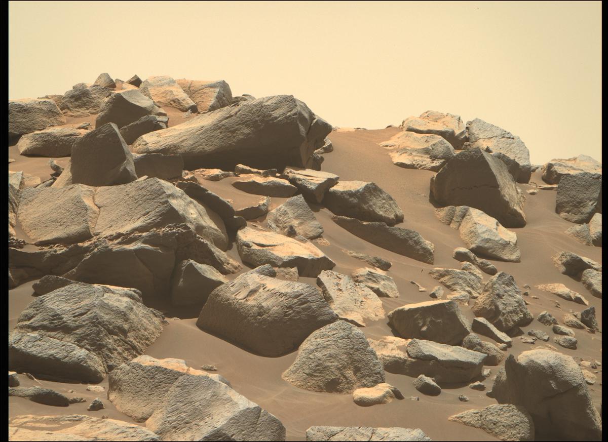 This image was taken by MCZ_RIGHT onboard NASA's Mars rover Perseverance on Sol 137