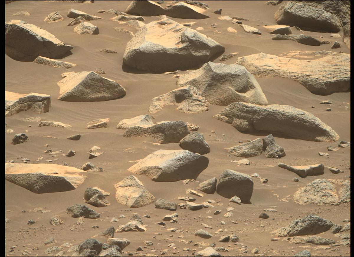This image was taken by MCZ_RIGHT onboard NASA's Mars rover Perseverance on Sol 137