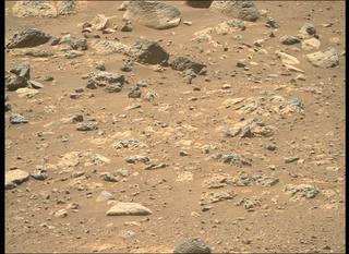 View image taken on Mars, Mars Perseverance Sol 137: Right Mastcam-Z Camera