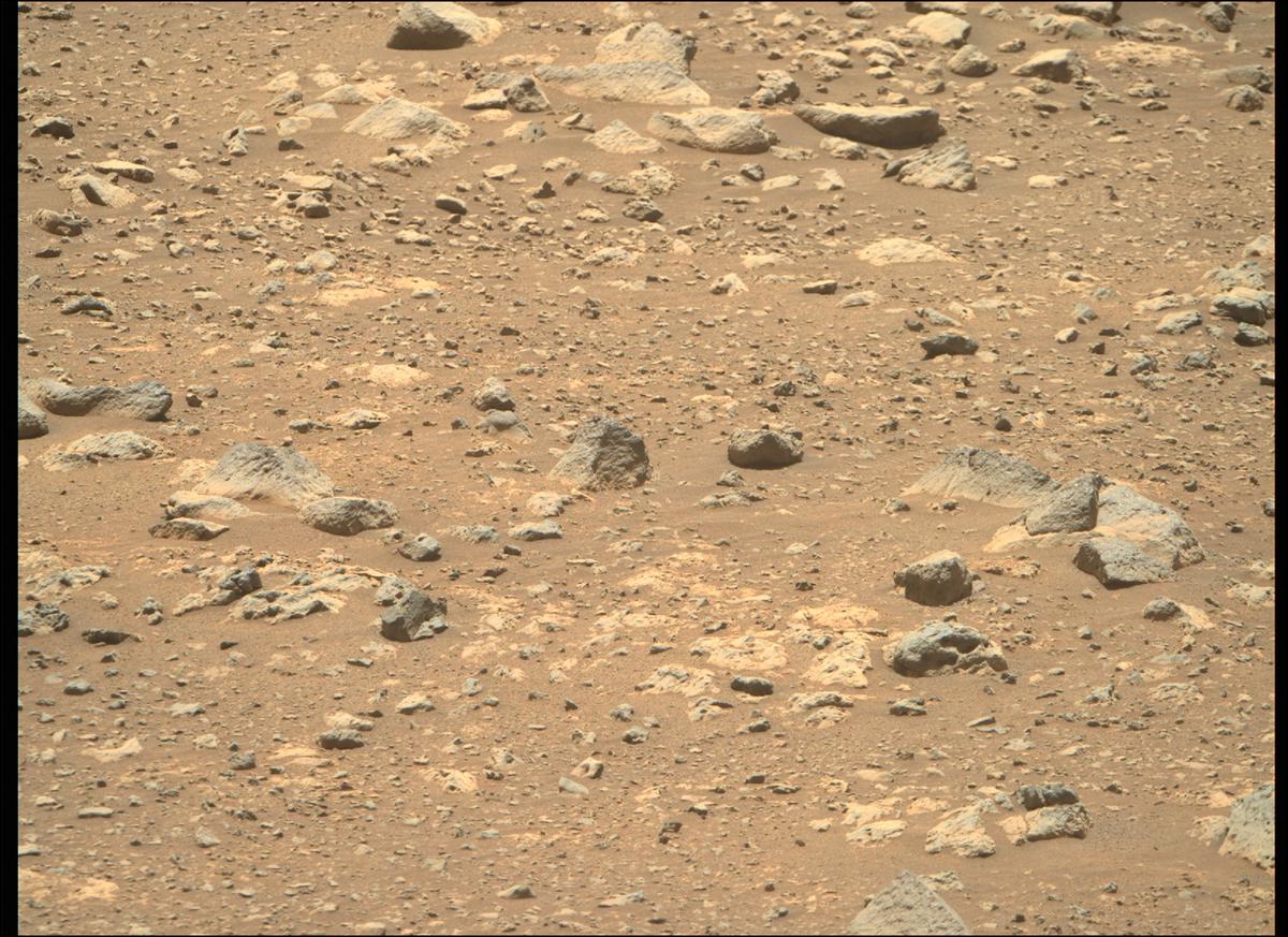 This image was taken by MCZ_RIGHT onboard NASA's Mars rover Perseverance on Sol 137