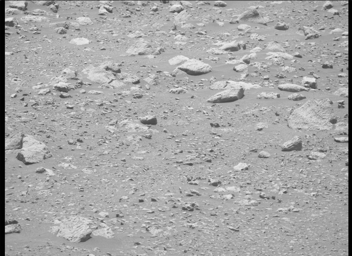 This image was taken by MCZ_RIGHT onboard NASA's Mars rover Perseverance on Sol 137